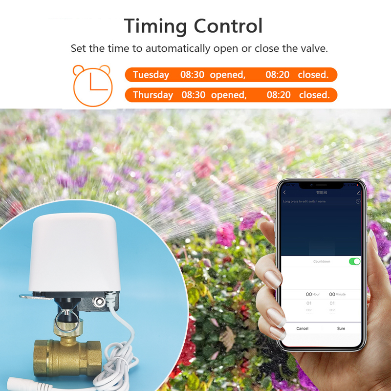 1/2インチ 3/4インチ 1インチ DN32 Tuya Z - Smart Home Networking のレビューと価格