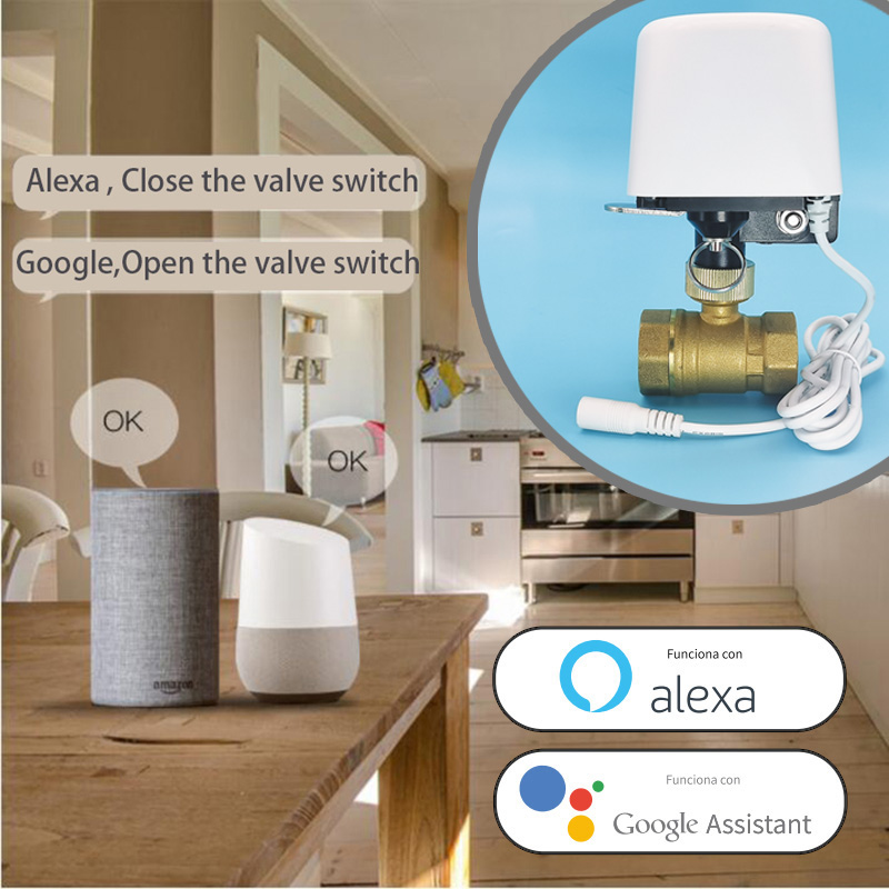 1/2インチ 3/4インチ 1インチ DN32 Tuya Z - Smart Home Networking のレビューと価格