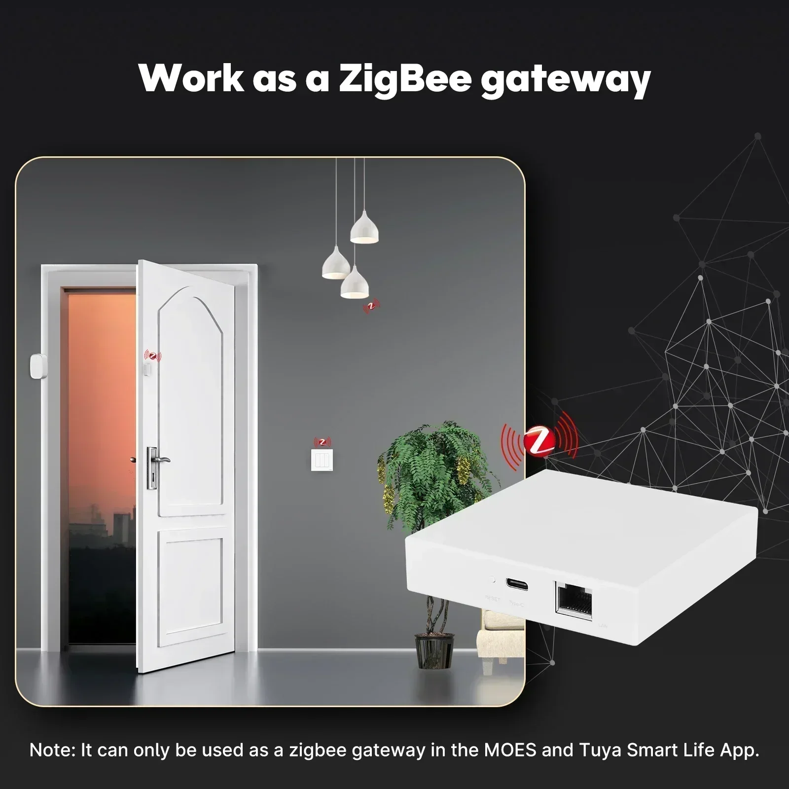 MOES Tuya Zigbee Matter Thread - Smart Home Dashboard のレビューと価格